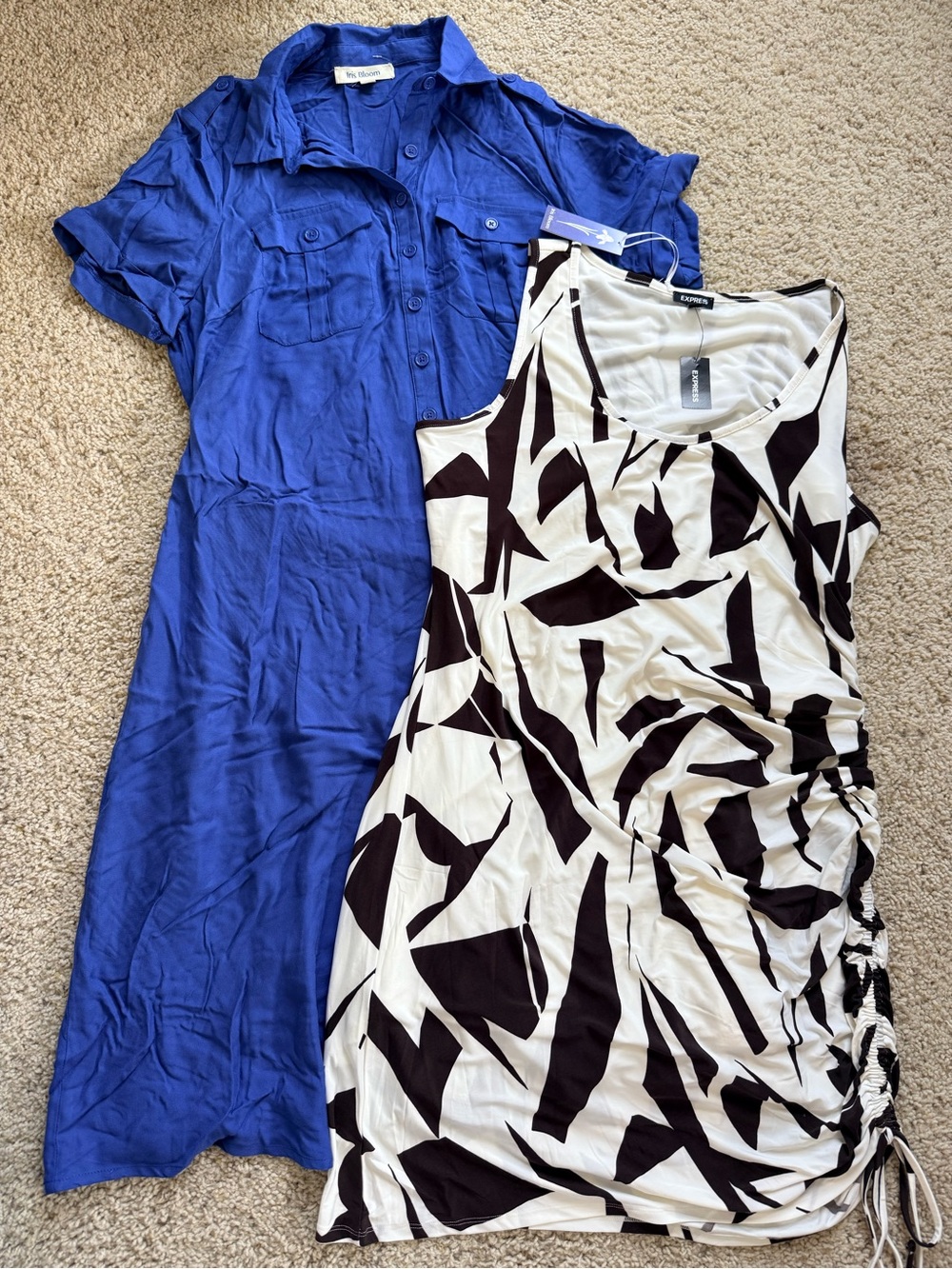 Set of 2 NWT Dresses - Iris Bloom & Express Size XL
